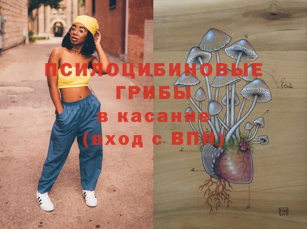 гидра Пролетарск