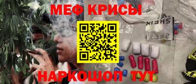 кокс Гатчина