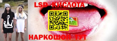 дживик Гагарин