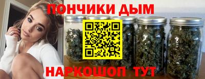 кокс Гатчина