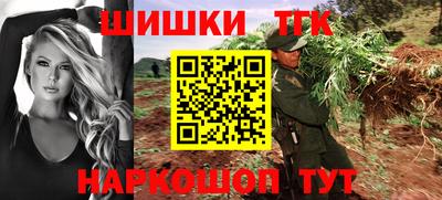 кокс Гатчина