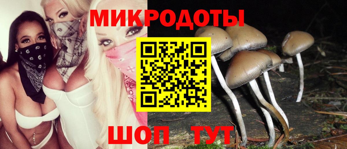 где можно купить наркотик  Рославль  Псилоцибиновые грибы мухоморы  Псилоцибиновые грибы Psilocybine cubensis 