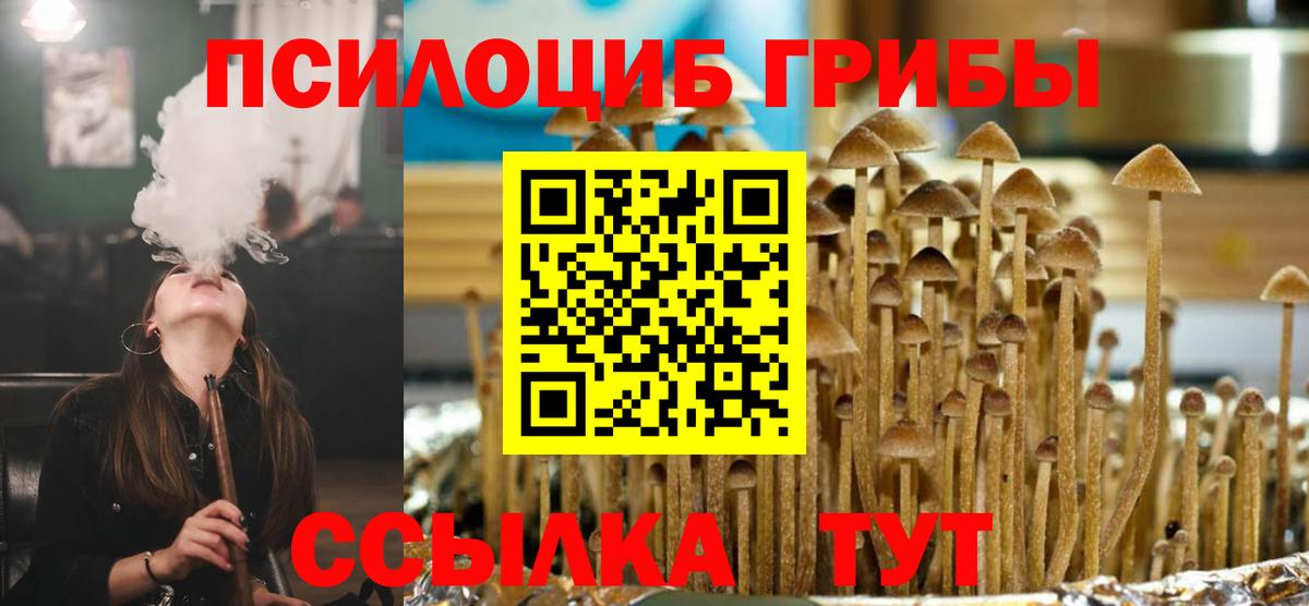 Псилоцибиновые грибы Magic Shrooms Рославль