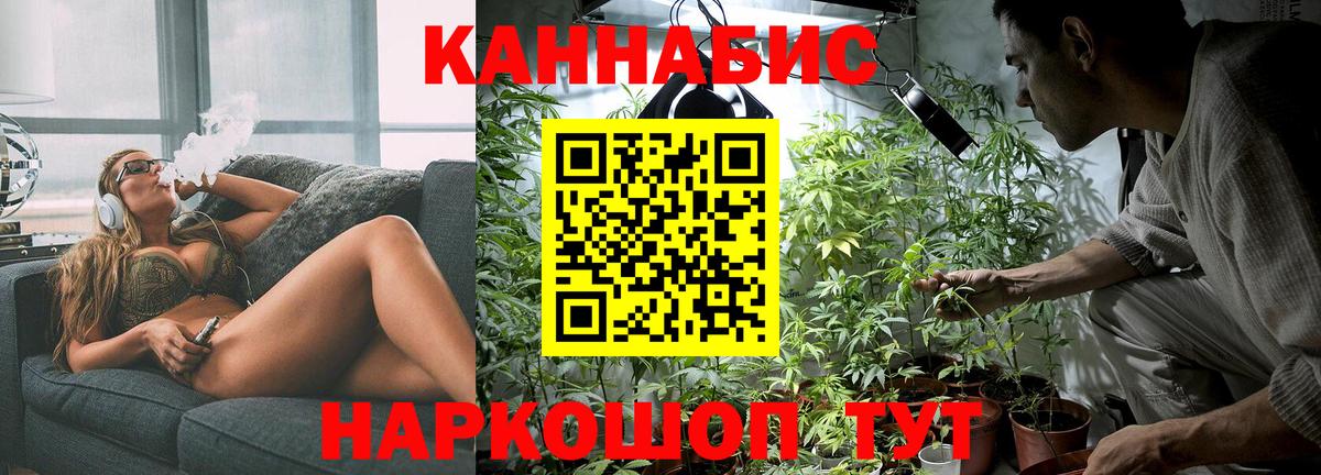 Каннабис планчик  Каннабис план  Рославль  Канабис White Widow 